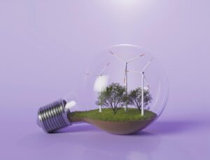 Testo Unico sulle Fonti Energetiche Rinnovabili: i regimi autorizzatori