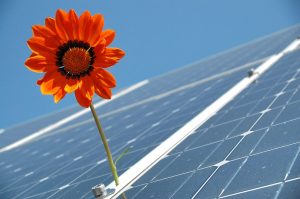 Agrovoltaico